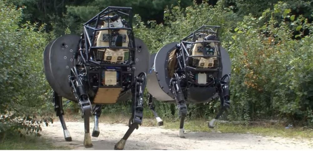 robot militaire