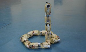 SnakeBot-Robot-Serpent-Espion-01-300x181